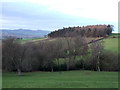 Shropshire landscape west of Cold Weston in SY8 2AN