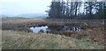 Pond on Doons Hill in DG3 4ND
