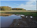 Stubble field near Stoke Edith in HR1 4EZ