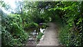 Footpath beside a stream in DT11 8SS