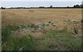 Field by Ness Road, Burwell in CB25 0DG