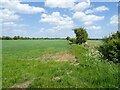 Crop field beside drain in LN9 5PJ