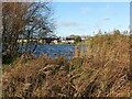 Killingworth Lake and Reed Beds in NE12 6RU