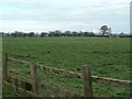 Farmland east of the cricket field, Sicklinghall in LS22 4BH