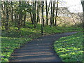Footpath, Killingworth Lakeside Park in NE12 6RE