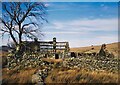 Helfa Fawr - a ruined farmhouse in the Arddu Valley in LL55 4UW
