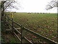 Stile on the footpath towards Windmill Barn in Whilton