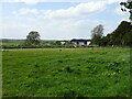 Grazing, Market Stainton Grange in Market Stainton