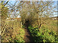 Footpath to the Trent and Newark in NG24 3TX
