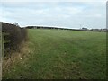 Field between Gill Lane and Mill Lane in LS22 4BS