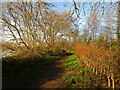 Bridleway by the River Trent, Farndon in NG24 3SX