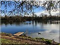 Fishing platform at the Arrow Valley Lake in B98 0LF