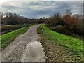 Path around Forge Mill Lake in B43 5AG