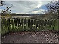 Viewing area overlooking the Forge Mill Lake in B43 5AG