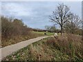 Path at the Forge Mill Lake local nature reserve in B43 5AG