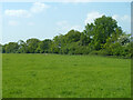 Field south of Sheep Leaze Lane in RG20 7JE