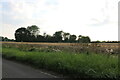 Field by West Wratting Road, Balsham in CB21 4EU