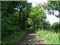 Bridleway on disused railway, Walkerville in DL9 4PB