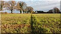 Path nearing Field Cottages in RG4 9BX
