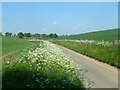 Long Lane with white verges in RG20 7BT