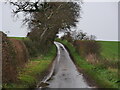 Easterly view up Broom Lane in NR28 9UG