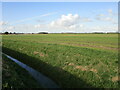 Aslackby Fen in Pointon and Sempringham
