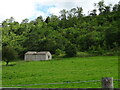 Grazing and old barn, Downholme in DL11 6AE