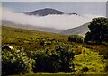 View along the Afon Arddu valley from Nant Ddu Fach in LL55 4UW