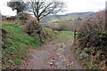 Llwybr i Gwm Cothi / Path to Cwm Cothi in SA32 7SZ