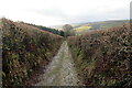 Llwybr uwchben Cwm Cothi / Path above the Cothi Valley in SA32 7SZ