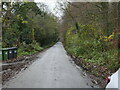 Looking South on Old Hall Road in NR28 9ST