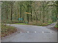 Entrance road to Bacton Wood Carpark in NR28 9ST