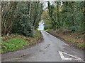 Looking down Mill Common Road in NR28 9ST