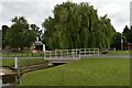 Bridge and willow tree on the green at Grundisburgh in IP13 6FF