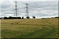 Pylons and ripening barley crop, Burgh in Burgh