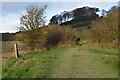 Path climbing up toward Cockey Down in SP1 1QZ
