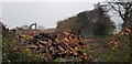 Log Processing, Forhill in B48 7AY