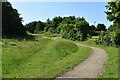Cycle path near Alton Water in IP9 2SY