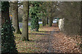 Tree-lined pavement on Winchester Road in SO32 1SA