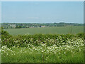 View over farmland towards Charlbury in OX7 3HL