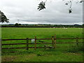 Footpath and grazing off Hall Lane, Harome in YO62 5JG
