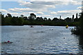 Openwater swimmers, Reading Lakes in RG2 6AT