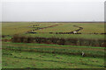 Wet grassland on Great Dams Fen in CB6 2DD