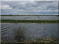 Ouse Washes near Witcham Gravel in CB6 2DD