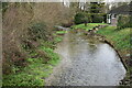 River Bourne at Porton in SP4 0NN