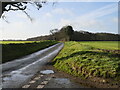 Rural road towards Verona Plantation in NR28 9TS
