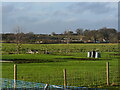 Looking across Sandy Hills Farm in NR28 9NA