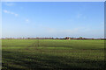 Big fields in the Cambridgeshire Fens in CB25 9LW