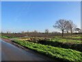 Blue sky and dark fen earth in CB25 9LW