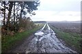 Road to Hopton (Roxburghshire) in TD8 6UN